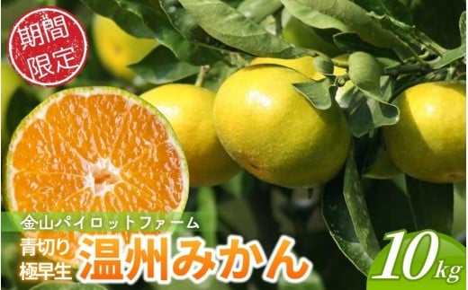 【北海道専用】みかん 金山パイロットファームの 極早生温州みかん 10㎏ 【2026年9月下旬から順次発送】 みかん ミカン 温州みかん 極早生 極早生みかん フルーツ 果物 くだもの 柑橘 産地直送 数量限定 人気 国産 三重県 熊野市【knpr0013A-HK】