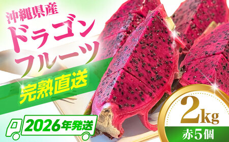 ドラゴンフルーツ 2kg 完熟直送！ 沖縄県産ドラゴンフルーツ