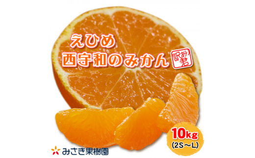 ＜訳あり君＞みさき果樹園のえひめ西宇和のみかん　10kg　2S～L混合＜C21-17＞【1455356】