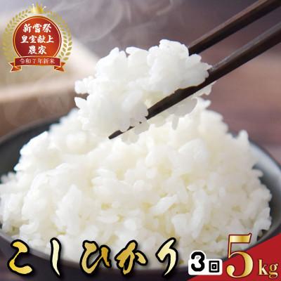 ふるさと納税 安芸市 【毎月定期便】3ヵ月連続でお届け!「コシヒカリ」定期便 5kg全3回