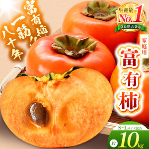 富有柿〈家庭用〉 約10kg（S～Lサイズ混載） |  先行予約 大人気 人気 富有 柿 かき フルーツ 果物 辰巳果樹園 ギフト おすすめ 10月 11月 発送 カキ 秋の味覚 旬 甘い 大容量 農家直送 産地直送 グルメ お取り寄せ 送料無料  食物繊維 豊富 美容 健康 | 奈良県 五條市