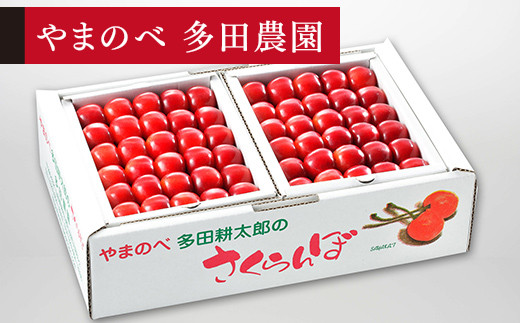 ≪2025年 先行予約≫さくらんぼ 紅秀峰 手詰  1kg(約500g×2)「やまのべ多田農園」 F2Y-1391