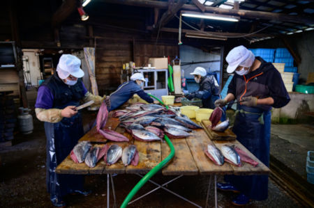 便利な食べきりサイズ「カツオの生節３種(6本セット)」【AA38】