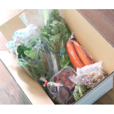 ふるさと納税 印南町 【発送月固定定期便】旬の新鮮野菜セット8種以上 奇数月発送【野菜詰め合わせ】全6回 |  | 02
