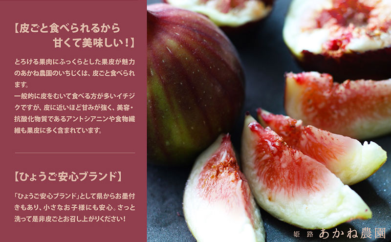 【皮ごと食べれて甘い】あかね農園「いちじく」約1.2kg 果物 フルーツ イチジク 無花果 デザート おやつ 産地直送 