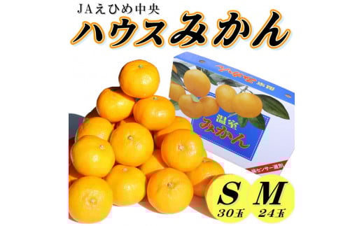 【順次発送中！】ハウスみかん 愛媛 秀品 おすすめ 人気 ギフト みかん JA 愛媛県 松山市 柑橘 くだもの はうすみかん秀品ハウスみかん ミカン果汁 デザート 愛媛みかん 柑橘類 カンキツ かんきつ 蜜柑 蜜橘 樒柑 松山のハウスみかん 愛媛のみかん 甘いハウスみかん フルーツ 果物 温州みかん 極早生種 早生種 温州ミカン 果肉 果汁 ハウスみかん果汁 美味しいみかん
