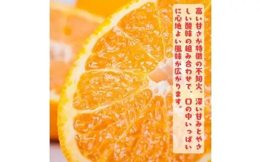 【先行予約】特選 濃厚 不知火 (通称デコポン) 10kg+200g(痛み補償分)※着日指定不可【ard260】 