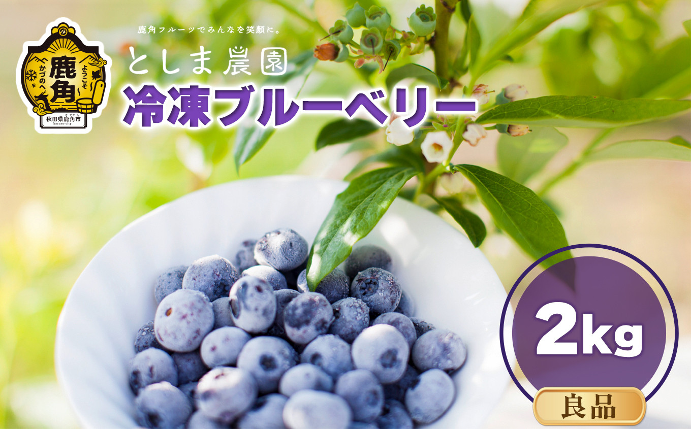 
                  《 先行予約 》 令和8年産 冷凍ブルーベリー 良品 2kg（サイズMIX）【としま農園】●2026年7月中旬発送 旬 県産ブルーベリー 国産ブルーベリー お中元 お歳暮 お取り寄せ 母の日 父の日 グルメ ギフト 故郷 秋田 あきた 鹿角市 鹿角 送料無料
                
