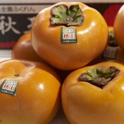 ふるさと納税 遠賀町 福岡限定【柿】秋王(あきおう)1.5kg箱(4-6玉)(遠賀町) |  | 02