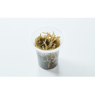ふるさと納税 陸前高田市 【簡単海鮮丼】けせんの海 一膳 特製松前漬 70g×1個 |  | 03