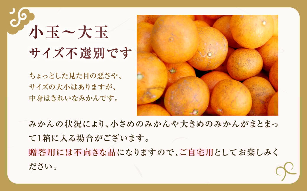 訳ありみかん 約5kg