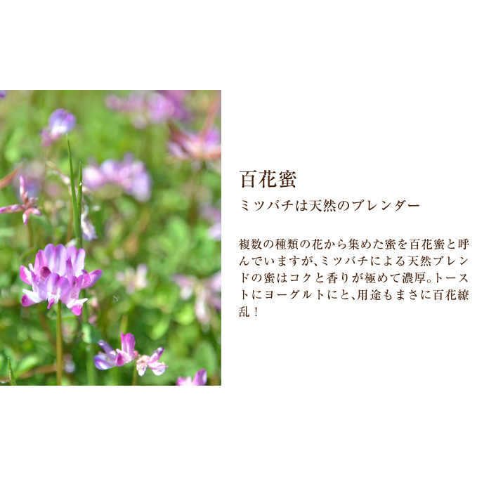 北海道美深産 天然はちみつ1.2kg（瓶）［百花］_イメージ2