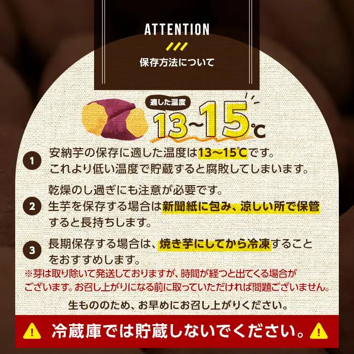安納芋 Mサイズ・10kg 紅 さつまいも 数量限定 種子島産 【JA種子屋久】n046