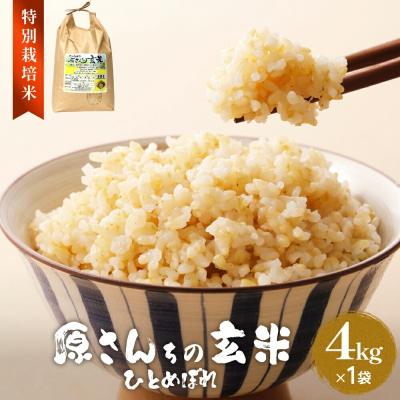 ふるさと納税 玖珠町 《先行受付》令和7年産 原さんちの玄米4kg いずれか1種お届け ひとめぼれ ヒノヒカリ にこまる