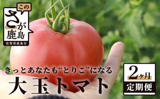 
【先行予約】 たにぐちファーム とりこになるトマト 【3.5kg以上×2回定期便】【2024年12月から出荷】 Ricotomato トマト B-508
