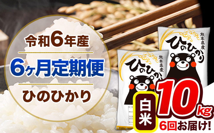 【6ヶ月定期便】令和6年産 定期便 ひのひかり 10kg 《申込み翌月から発送》令和6年産 熊本県産 ふるさと納税 白米 精米 ひの 米 こめ ふるさとのうぜい ヒノヒカリ コメ 熊本米 ひのもり