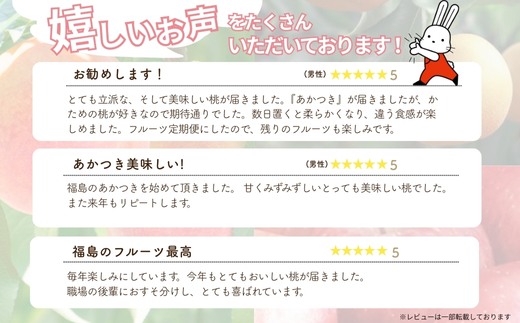 No.2339 【2026年発送】フルーツ４種定期便