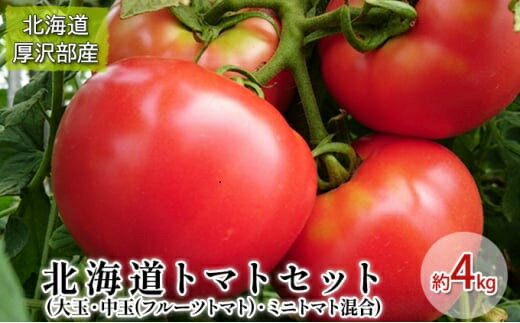 【ふるさと納税】【2025年7月中旬より発送】トマト詰合わせ（大玉・フルーツトマト・ミニトマト）約4kg ふるさと納税 人気 おすすめ ランキング マト とまと フルーツトマト ミニトマト 野菜 赤い リコピン おいしい 北海道 厚沢部 送料無料 ASO005