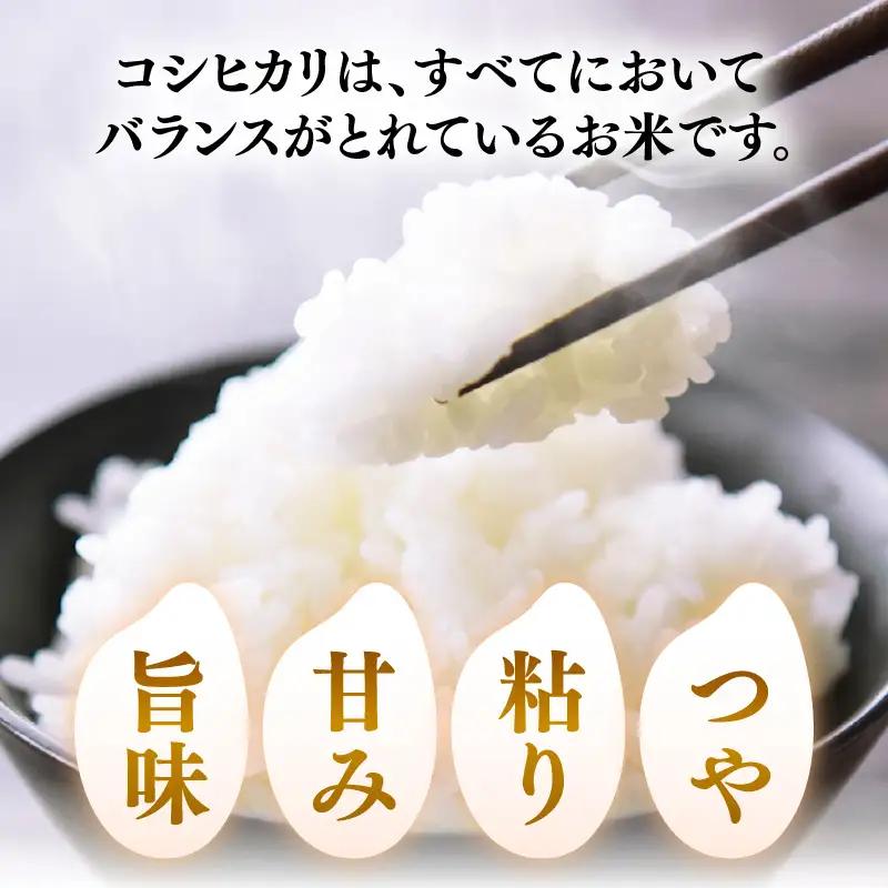 【先行予約】【令和8年産】 化学肥料不使用コシヒカリ 精米5kg（5kg×1袋） / 白米 米 福井県あわら市産 美味しい 特別栽培米 減農薬 安心な米 旨味 甘み もっちり エコファーマー こしひか