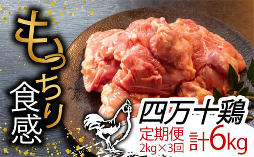 【定期便3回】銘柄鶏 四万十鶏 もも肉 計6kg（2kg×3ヶ月連続お届け) Sコース | 切身 カット 時短 小分け カット済み 鳥肉 とりにく 鶏もも 冷蔵 国産 ブランド 唐揚げ 煮物 鍋 チキン 南蛮 高知県 須崎市 TM21000