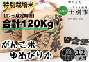 【ふるさと納税】F7034（12ヵ月定期便）田舎塾特別栽培米「がんこ米ゆめぴりか」10kg×12ヵ月