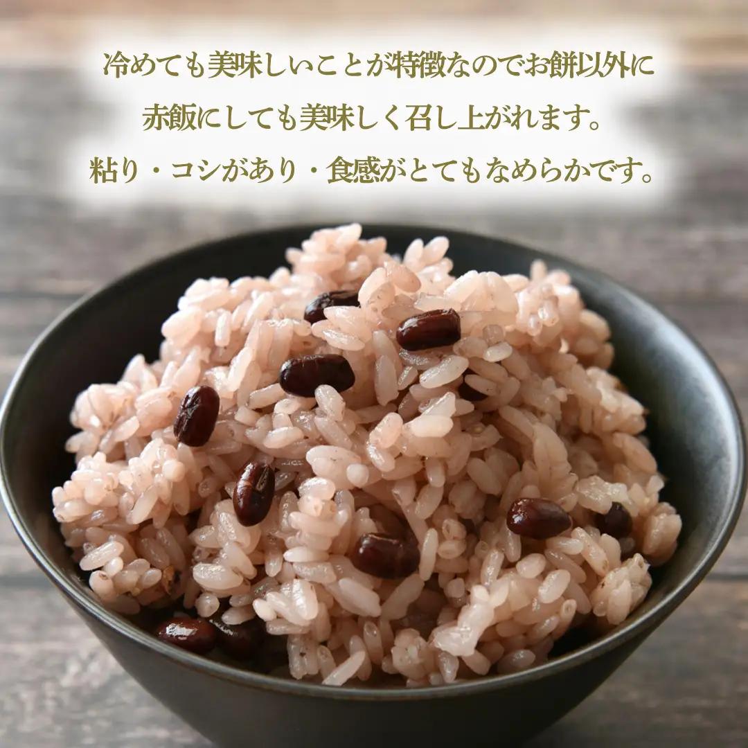 もち米 3kg 精米 マンゲツモチ 令和7年産 城里町産 3kg×1袋 (AX085)