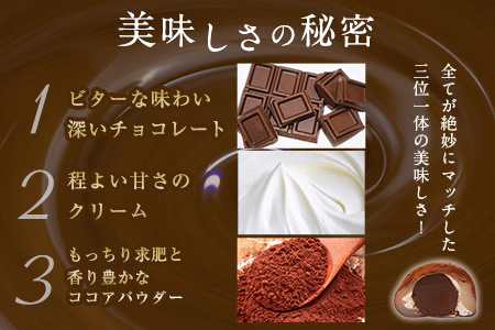 生チョコ食感 チョコ大福 20個 北九食品株式会社 《30日以内に出荷予定(土日祝除く)》大福 和菓子 スイーツ 福岡県 鞍手郡 鞍手町