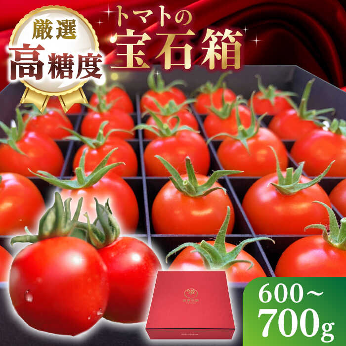 【ふるさと納税】【先行予約】厳選!高糖度 あま壱岐トマト 約600~700g 【2025年12月以降順次発送】《壱岐市》【壱岐の潮風】 トマト 野菜 完熟 高糖度 ギフト プレゼント 贈り物 産地直送 常温配送 19000 19000円[JAE010]