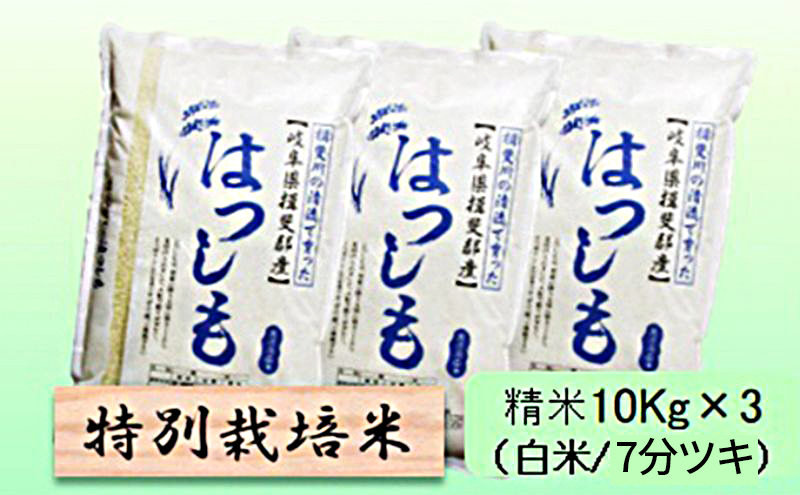 【令和7年産】特別栽培米 30kg【白米、7分ツキ】（ハツシモ）