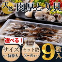 【ふるさと納税】サイズ・容量 選べる 天然 肉厚 とり貝お刺身 【9枚入り】 岬だより ( 新鮮 冷凍 とり貝 刺し身 トリガイ さしみ 愛知県 南知多町 ふるさと納税貝 ふるさと納税とり貝 ふるさと納税刺身 ふるさと納税お刺身 【配送不可地域：北海道、沖縄、離島】