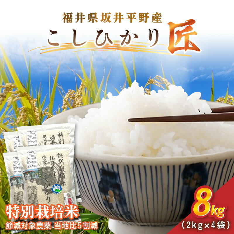 【ふるさと納税】令和7年産 特別栽培米 コシヒカリ匠 8kg（2kg×4袋）節減対象農薬当地比5割減【選べる精米方法：白米 / 玄米】【米 コメ お米 コシヒカリ ふるさと納税米 ブランド米 国産】