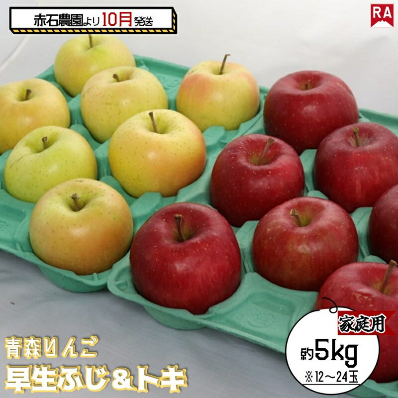 【ふるさと納税】りんご 【 10月発送 】家庭用 早生ふじ ＆ トキ 約 5kg 【 弘前市産 青森りんご 果物 フルーツ 食後 デザート 早生りんご ジューシー シャキシャキ 濃厚な甘み 】　お届け：2025年10月2日～2025年10月31日