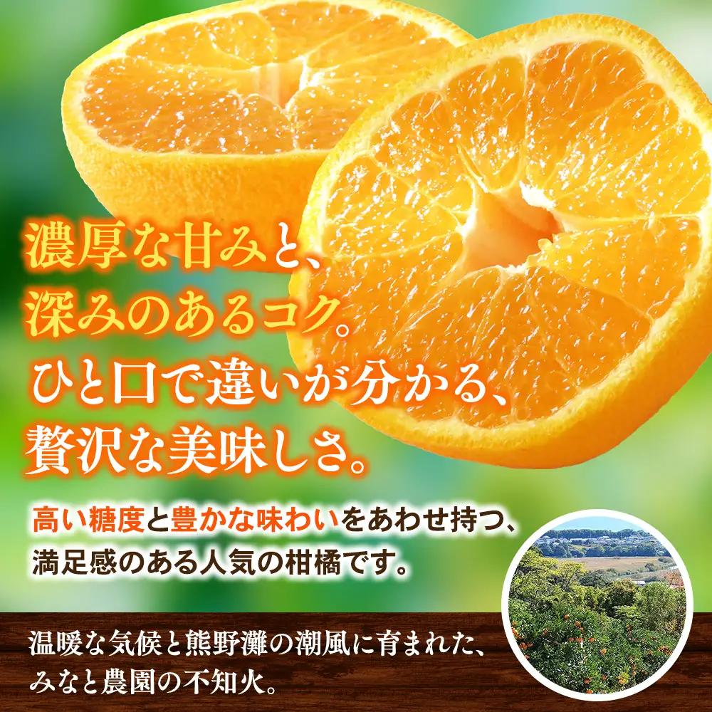 【先行予約】不知火 みなと農園の不知火 約10kg【mntf0014】