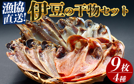 漁協直送！ 干物詰め合わせ　【 干物 】
