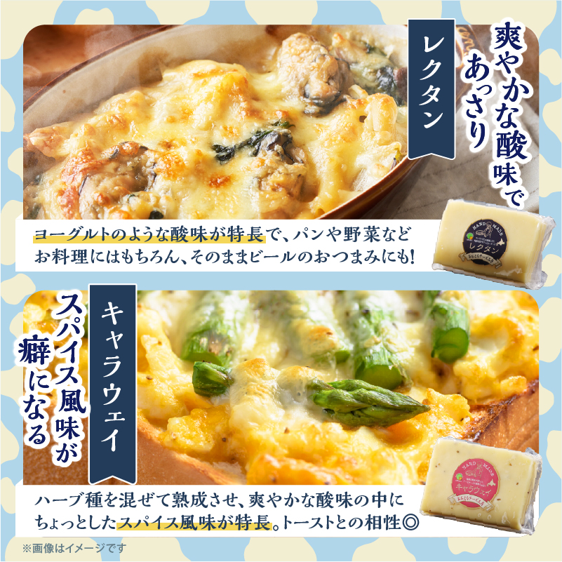 【おおともチーズ工房】《人気No1》定番の手造りナチュラルチーズ詰め合わせ_H0003-102