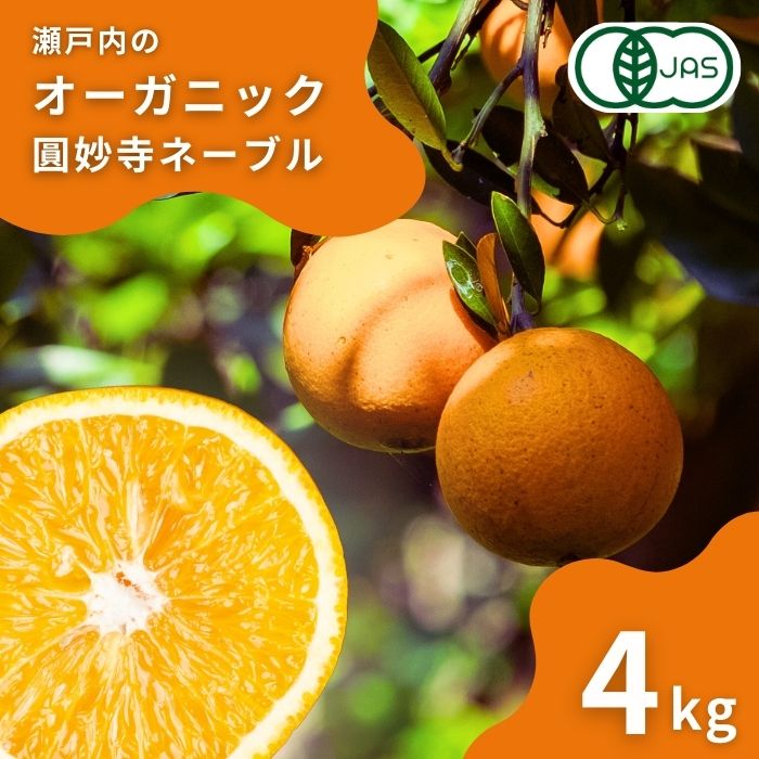 【ふるさと納税】オーガニック圓妙寺ネーブル 約3kg(1~2月発送) 10~15個程度 国産 瀬戸内 広島 大崎上島 離島 有機JAS認証 有機栽培 安心 安全 オーガニック フルーツ 柑橘 ネーブル 濃厚 果物 ギフト 送料無料 産地直送 中原観光農園