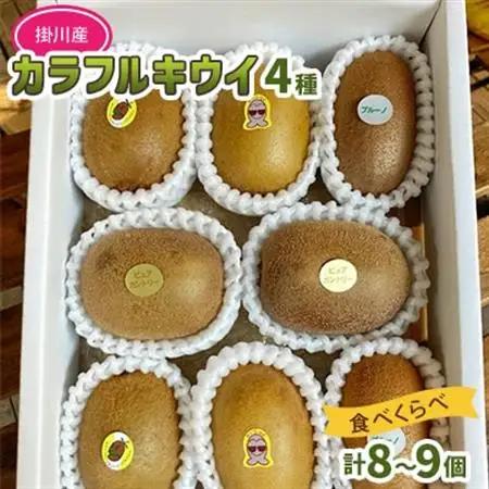 掛川産カラフルキウイ4種8～9個セット期間限定 キウイフルーツカントリーJapan　5883【配送不可地域：離島・北海道・沖縄県・四国・九州】【1652671】