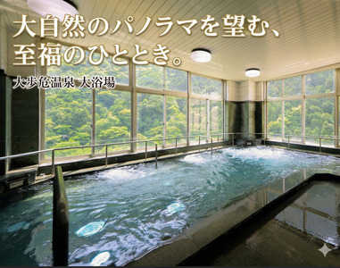 阿波すだち鶏の鍋セット ２～３人前 もも肉 祖谷そば すだち 国産 送料無料 【鍋セット】