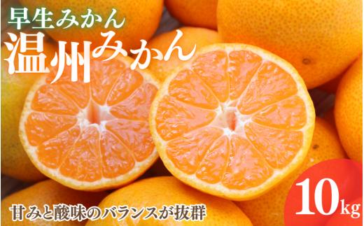 【先行予約】早生みかん 温州みかん　10kg【11月中旬以降発送予定】 / 和歌山県 田辺市 みかん 早生みかん うんしゅうみかん 柑橘