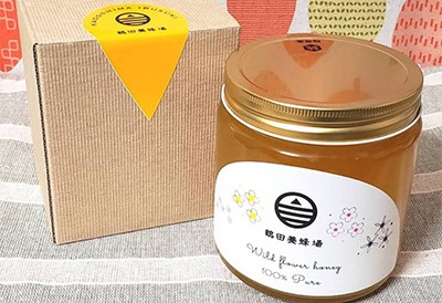 南国指宿の花々から採れた純粋はちみつ600g(鶴田養蜂場/IB047-001)