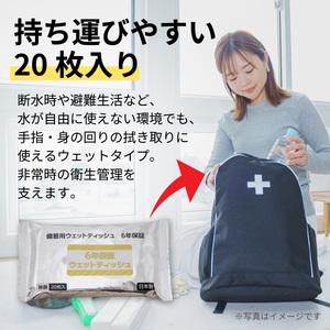 6年保証備蓄用大判除菌ウェットティッシュ20枚（1ケース25個入）/ ウェットティッシュ