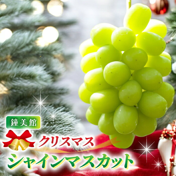 【ふるさと納税】【鐘美館】標高750mで育ったクリスマスシャインマスカット ※2025年12月22日発送