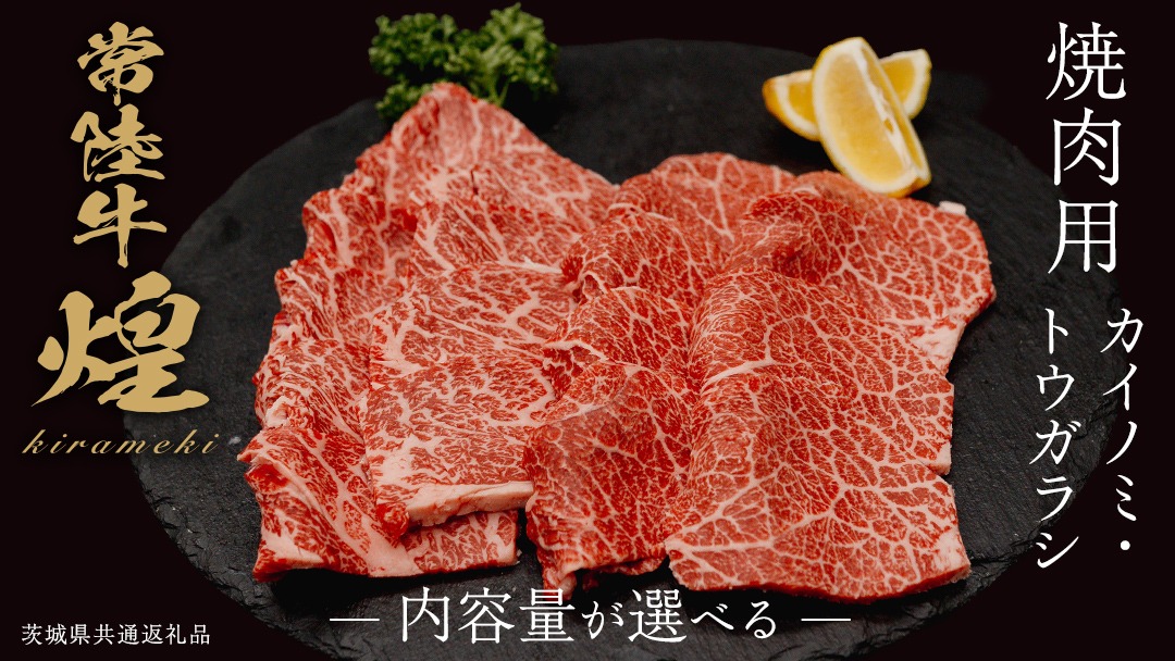 ＼選べる内容量／【 常陸牛 煌 】カイノミ・トウガラシ 焼肉用 各200g～300g (計400g～600g) (茨城県共通返礼品) ［化粧箱入り］ 希少部位 牛肉 ブランド牛 きらめき 和牛 黒毛和牛 国産黒毛和牛 国産牛 焼肉 贈答 ギフト 小ザシ お肉 肉 A5ランク