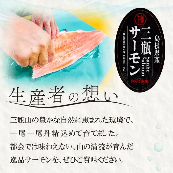 【訳あり】さんべサーモン切り落し 300g【サーモン 300g 切り落し サーモントラウト ニジマス サーモン さけ シャケ しゃけ sake 生食用 刺身 お刺身 刺し身 魚介類 海鮮 冷凍】