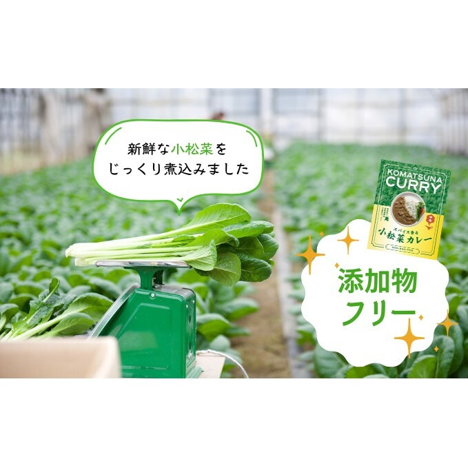 小松菜カレー 4個 加工食品 惣菜 レトルト _イメージ2