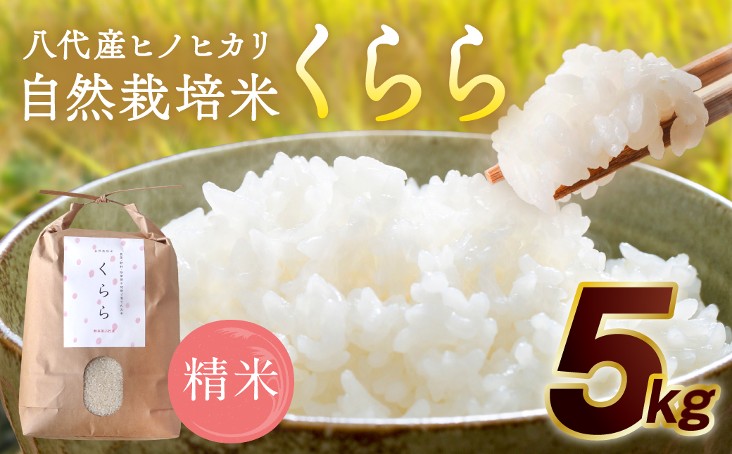 【先行予約】 《令和7年産》 自然栽培米 くらら 精米 5kg （八代産ヒノヒカリ） 【2025年11月下旬より順次発送】