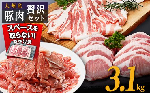 九州産豚肉3.1kg　3種セット　（豚バラスライス400g×3P　豚ロースとんかつ350g（3枚）×2P　豚モモウデ切り落とし300g×4P） 464686_SA161