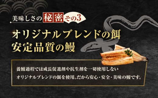 めぐみうなぎ 白焼き 3尾 セット  うなぎ 鰻 ウナギ unagi 国産うなぎ うなぎ白焼き 白焼 素焼き わさび醤油 岩塩 雪塩 酒の肴 おつまみ 日本酒 冷凍 真空パック 小分け 個包装 敬老の日 ギフト プレゼント 贈答 のし対応 お歳暮 完全無投薬養殖 女性養鰻師 大阪府 熊取町
