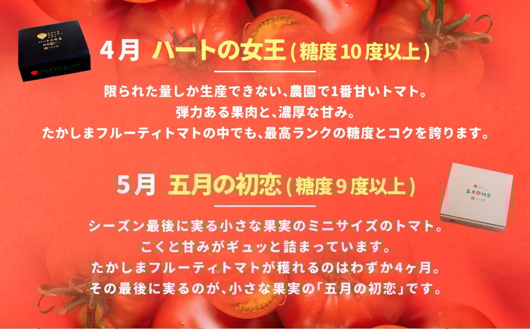 たかしまフルーティトマトの贅沢コース 【年4回定期便 （2月／3月／4月／5月配送）】 ／ 情熱ハート ハートのプリンセス ハートの女王 五月の初恋 合計約7.2kg フルーティートマト フルーツトマ