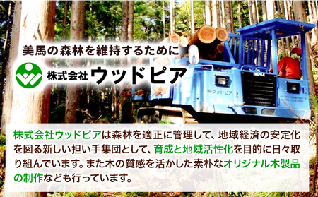 木のピアス らせん状 株式会社ウッドピア 《30日以内出荷(土日祝除く)》 アクセサリー ピアス イヤリング ファッション 木製 レターパック 送料無料 徳島県 美馬市